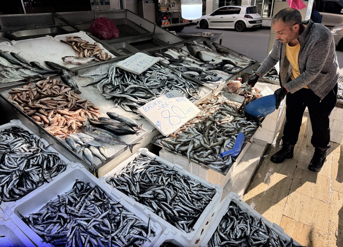 Karadeniz'de devam eden olumlu hava koşulları balık avcılığındaki verimi artırıyor. Türkiye'nin...