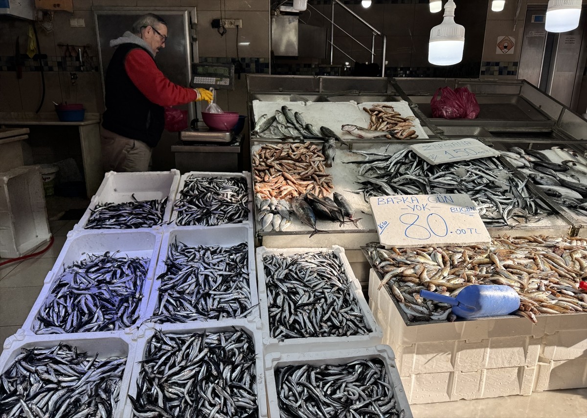 Karadeniz'de devam eden olumlu hava koşulları balık avcılığındaki verimi artırıyor. Türkiye'nin...