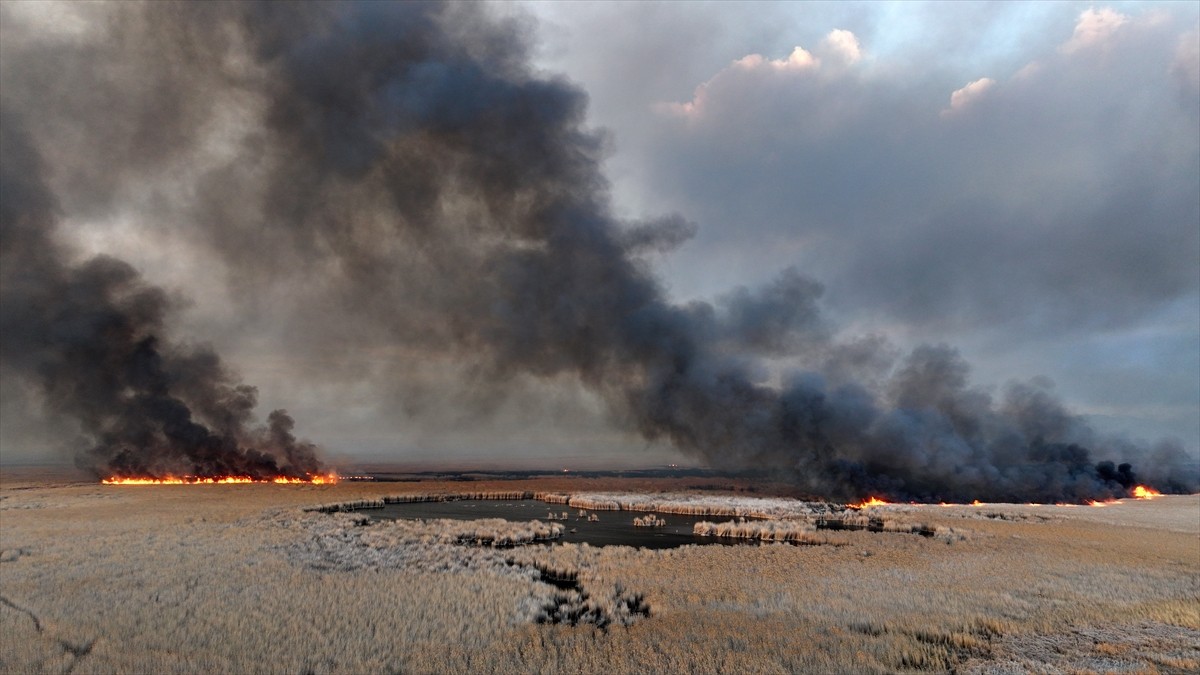 Kayseri'de "kesin korunacak hassas alan" ilan edilen Sultan Sazlığı Milli Parkı'nda çıkan yangına...