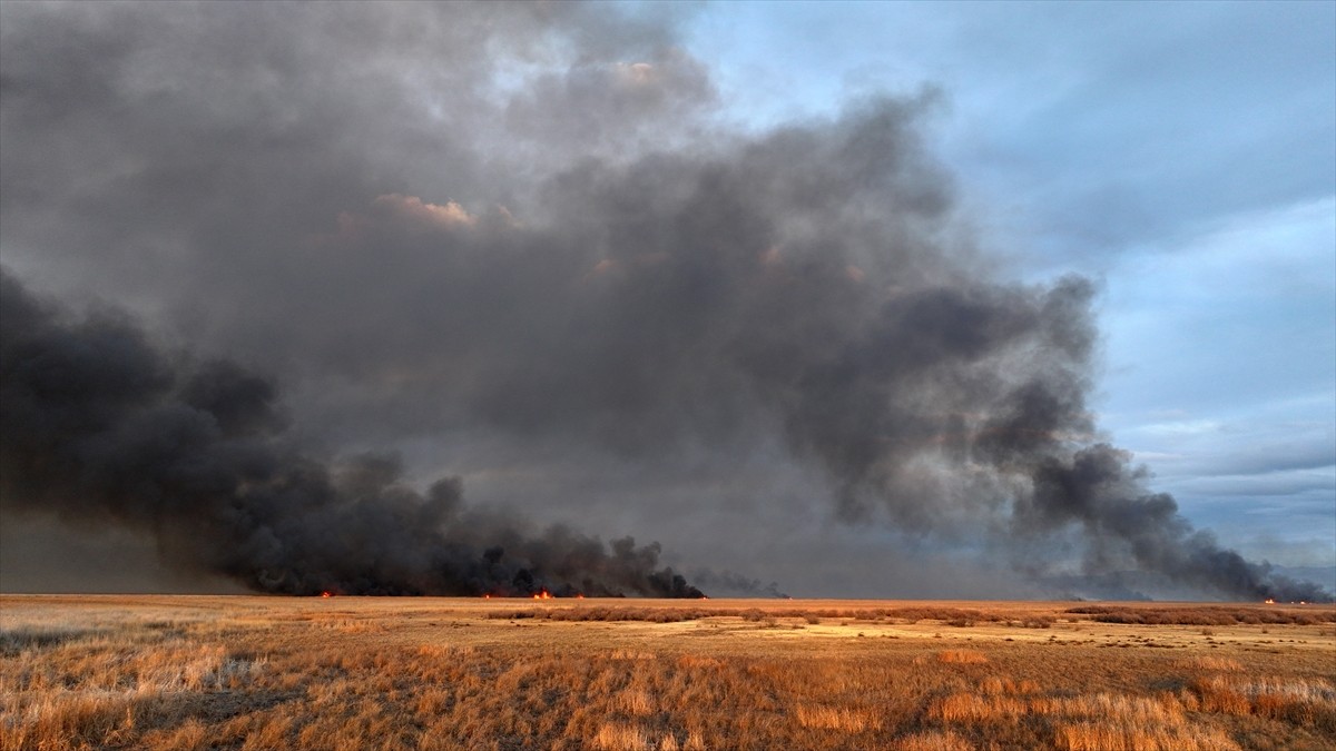 Kayseri'de "kesin korunacak hassas alan" ilan edilen Sultan Sazlığı Milli Parkı'nda çıkan yangına...