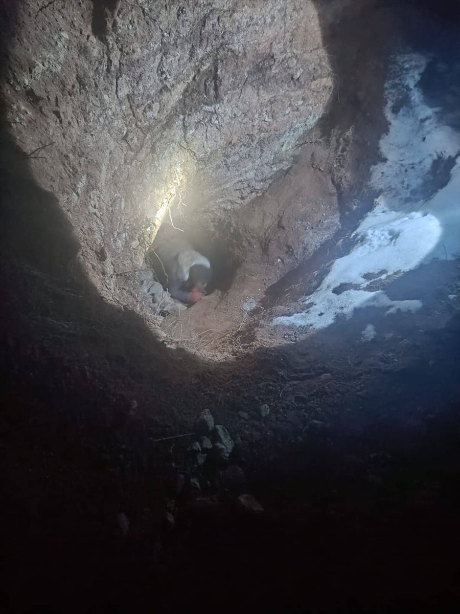 Kayseri'nin Felahiye ilçesinde sit alanında kaçak kazı yapan 4 şüpheli gözaltına alındı. Yapılan...