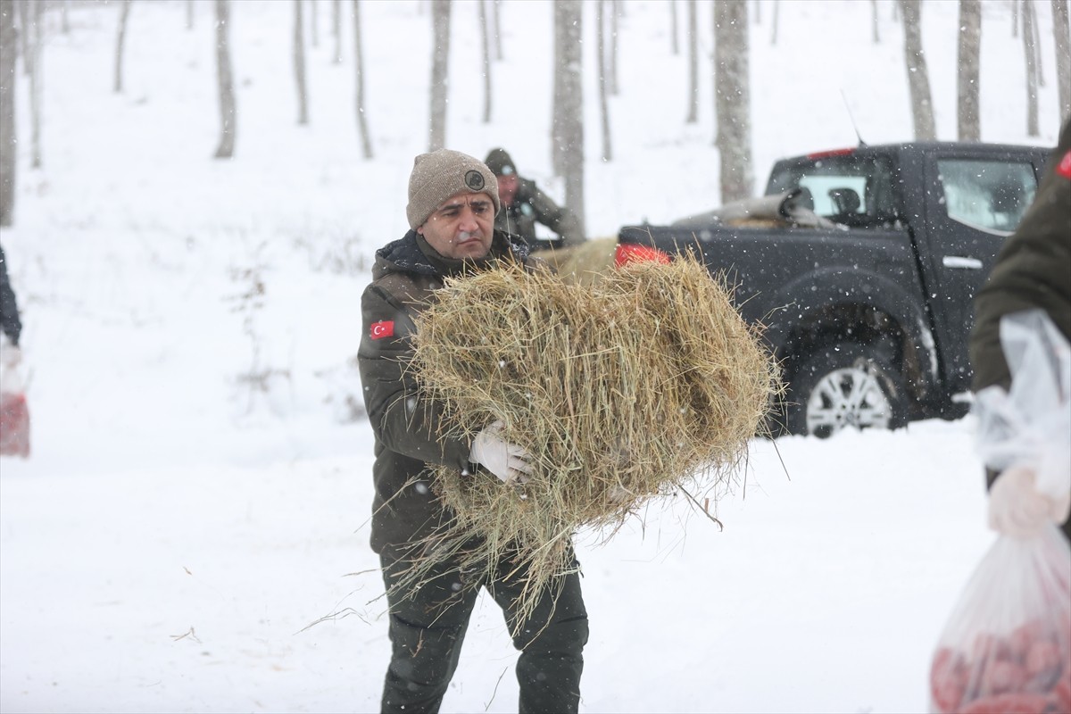 Kırklareli'nde, Doğa Koruma ve Milli Parklar Müdürlüğü ekipleri, Dereköy'de kar yağışı nedeniyle...