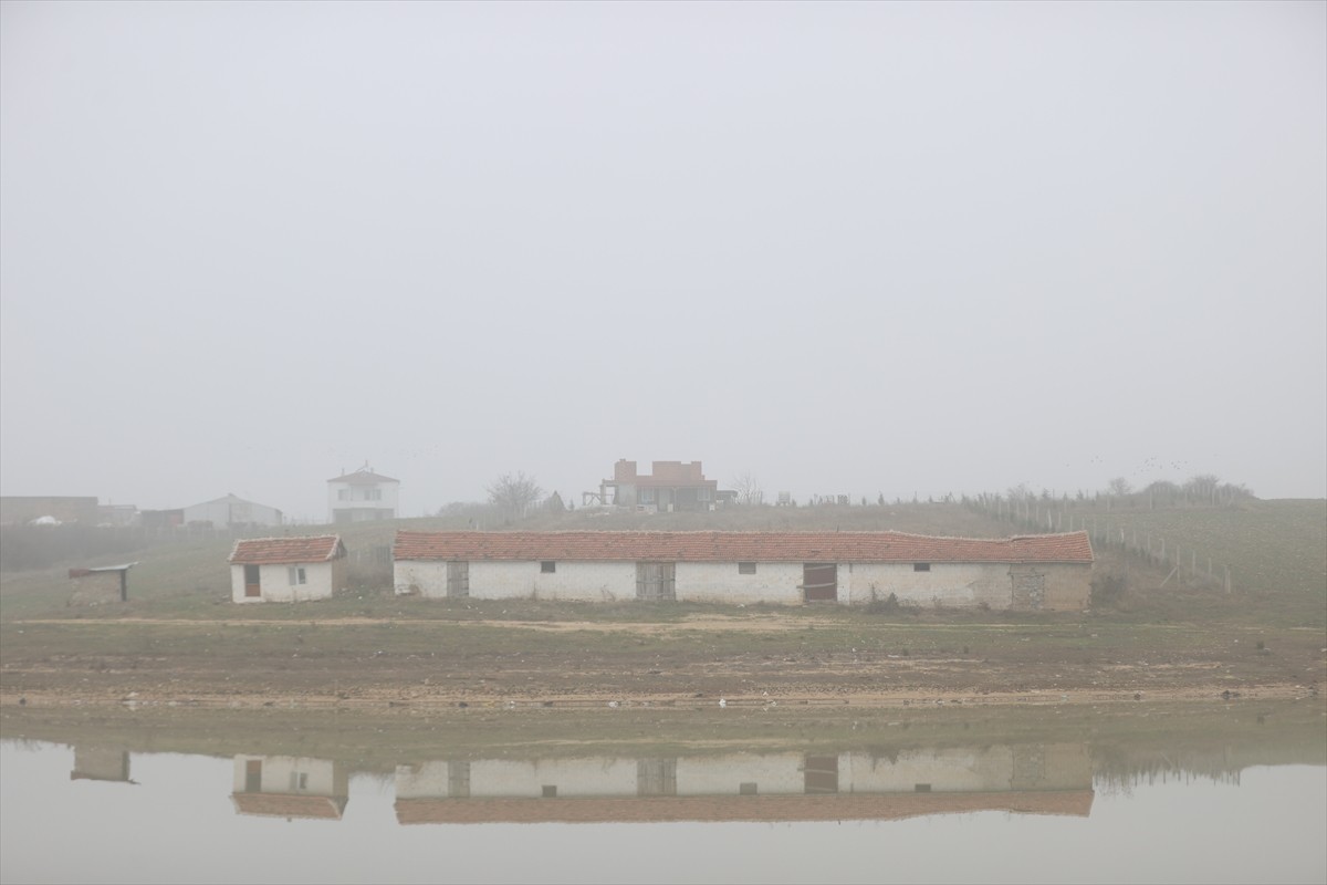 Kırklareli'nde sis nedeniyle görüş mesafesi düştü.