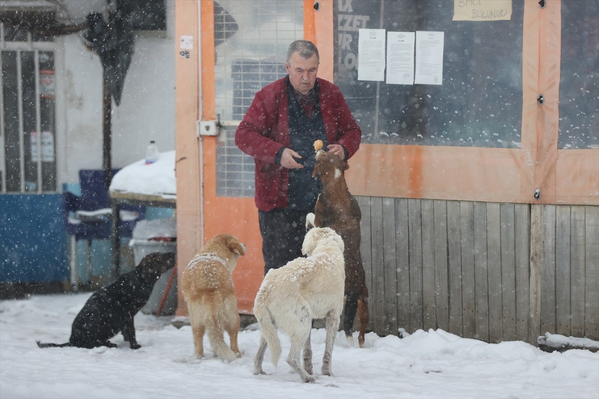 Kırklareli'nin yüksek kesimlerinde kar yağışı yaşamı olumsuz etkiliyor. Kar yağışı Dereköy köyünde...