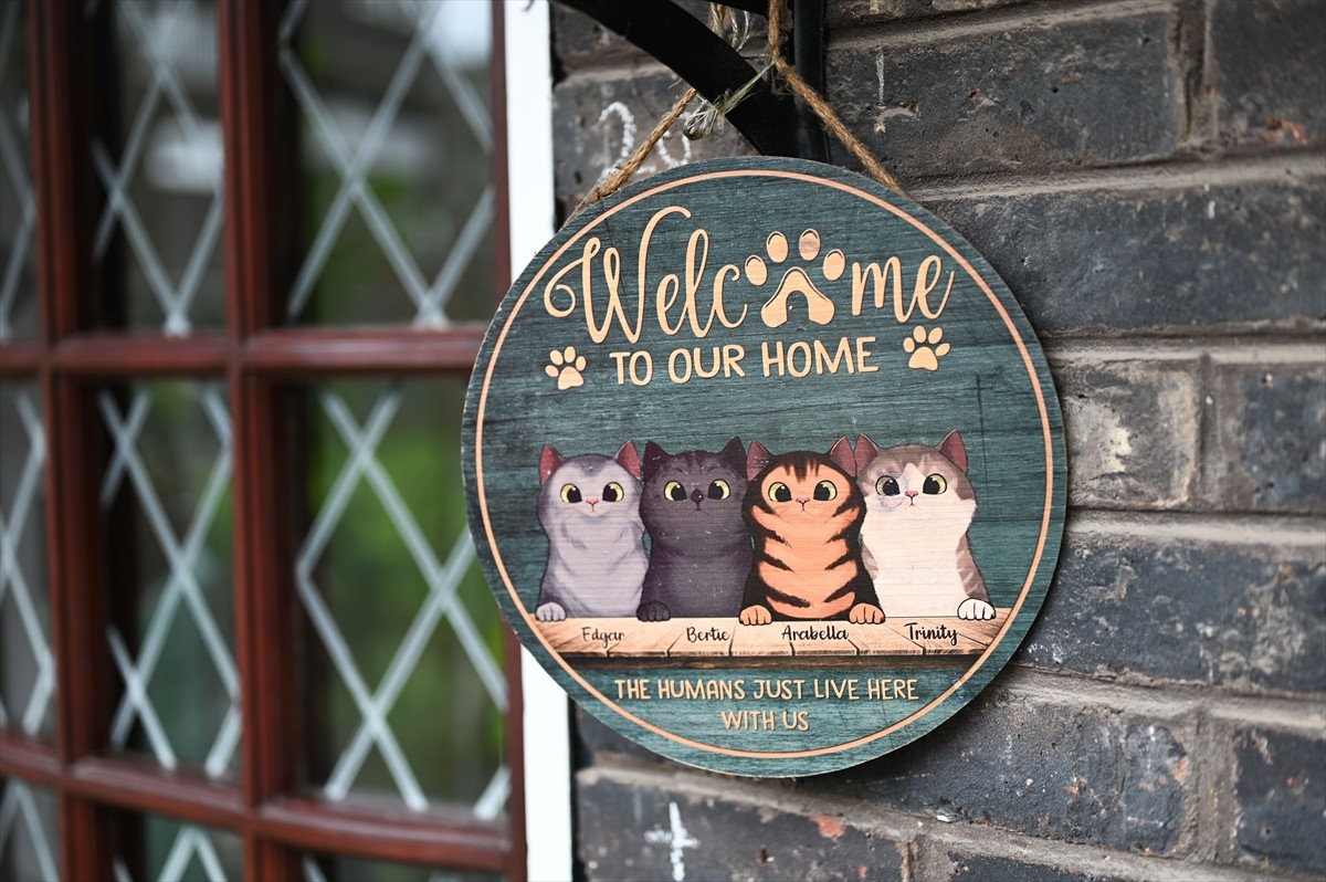 Londra'nın güneyinde yaşayan Sarah Tyler ve Pauline Taylor isimli iki arkadaş, bakıma muhtaç kedi...