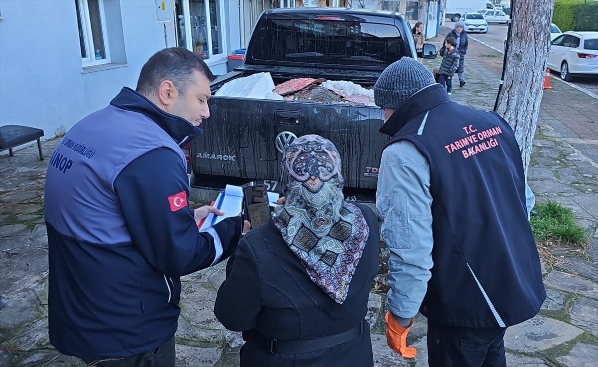 Sinop'ta kaçak avlandığı belirlenen 380 kalkan balığına el konuldu. El konulan balıklar, Sosyal...