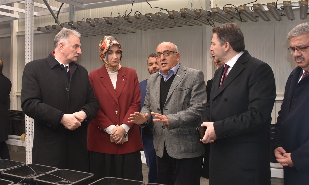 Tarım ve Orman Bakan Yardımcısı Ahmet Bağcı (sağ 4), Bolvadin ilçesindeki Alkaloid fabrikasının...