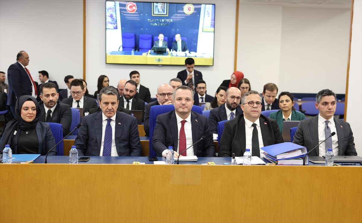 TBMM Plan ve Bütçe Komisyonunda, Türkiye Varlık Fonu Yönetim Anonim Şirketi ile Türkiye Varlık...