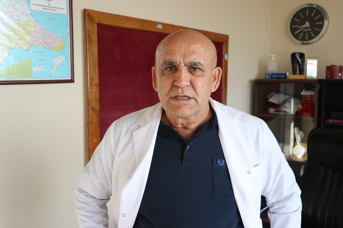 Tekirdağ Namık Kemal Üniversitesi (NKÜ) Ziraat Fakültesi Tarla Bitkileri Bölüm Başkanı Prof. Dr....