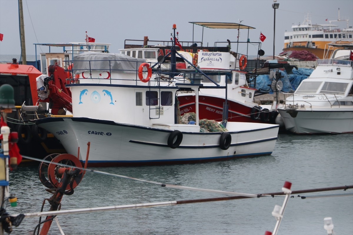 Tekirdağlı balıkçılar, Marmara Denizi'nde etkili olan poyraz nedeniyle 5 gündür ava çıkamıyor....