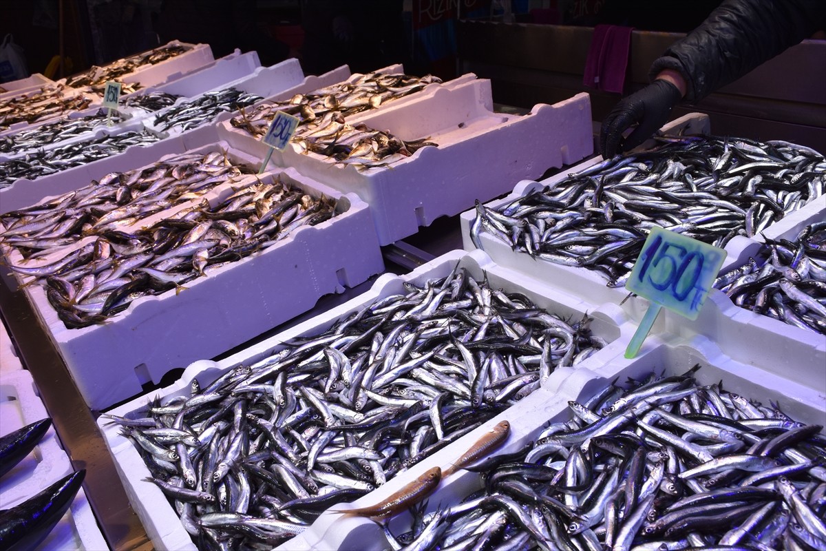 Trabzon'da balıkçı tezgahlarında hamsinin kilogramı 125 ila 150 liradan satılıyor.