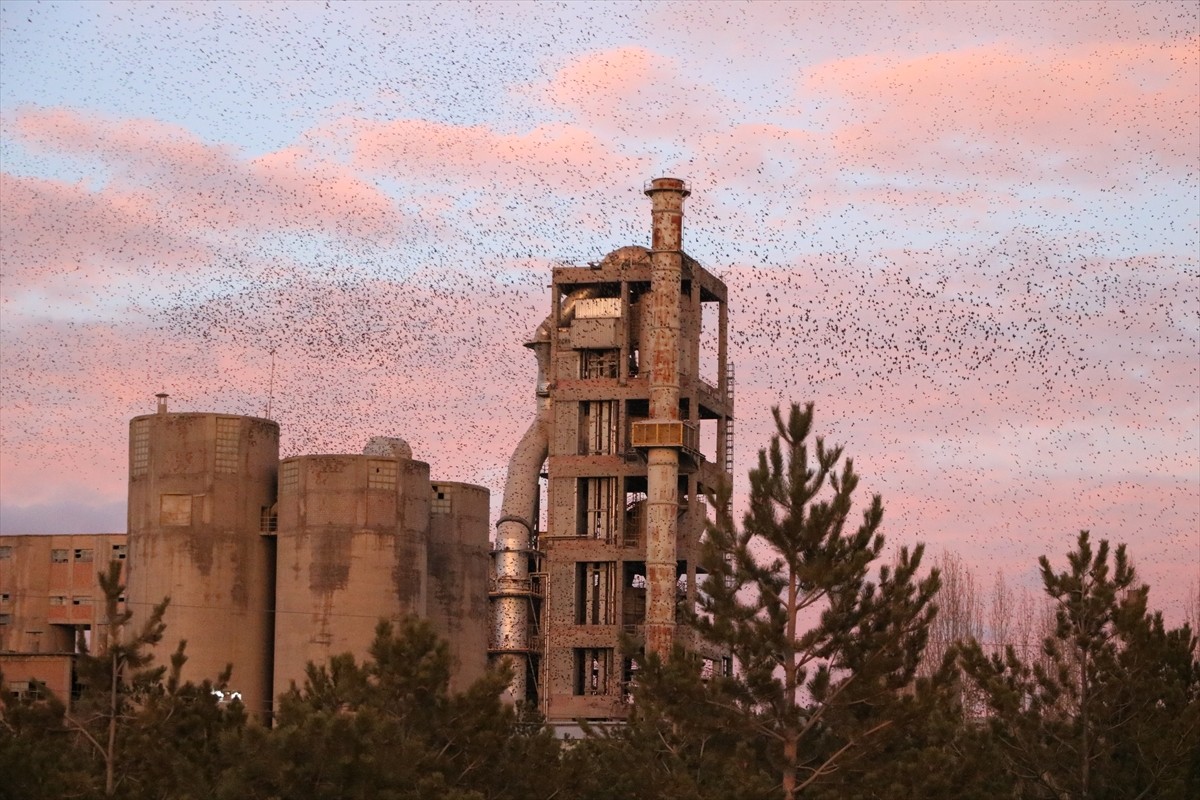 Yozgat'ın Yerköy ilçesinde sığırcıkların gökyüzündeki dansı güzel görüntüler oluşturdu....