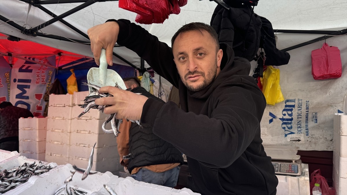 Zonguldak'ta av sezonunun açılmasından bu yana 10 bin tonun üzerinde balık avlandı. Tezgahları...