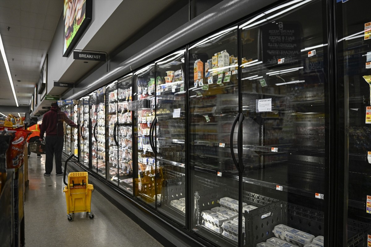 ABD'de kuş gribi salgını ülke genelinde yumurta arzını olumsuz etkilerken, fiyatlar ocakta...