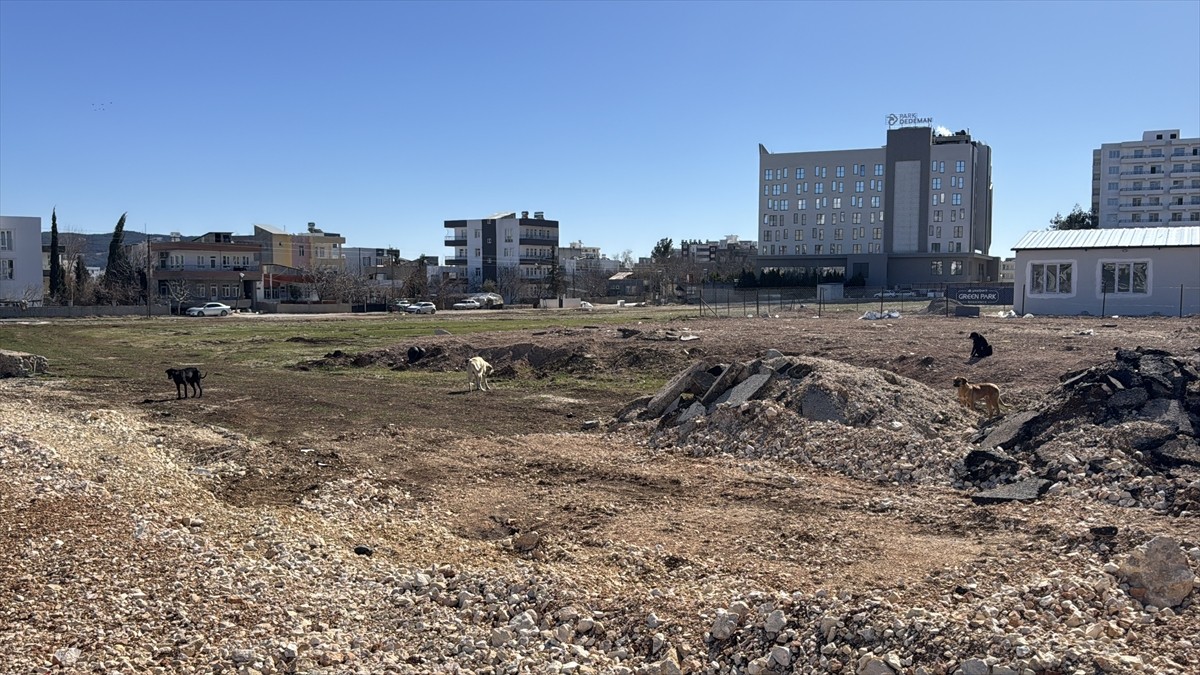 Adıyaman'da, okula giden öğrenci, Siteler Mahallesi'nde boş bir arazide yürüdüğü sırada 3 sahipsiz...