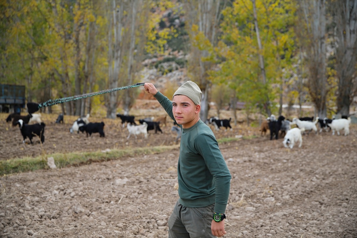 Antalya’nın Elmalı ilçesinde keçi çobanlığı yaparken yetenek taraması sonrasında bocceye başlayan...