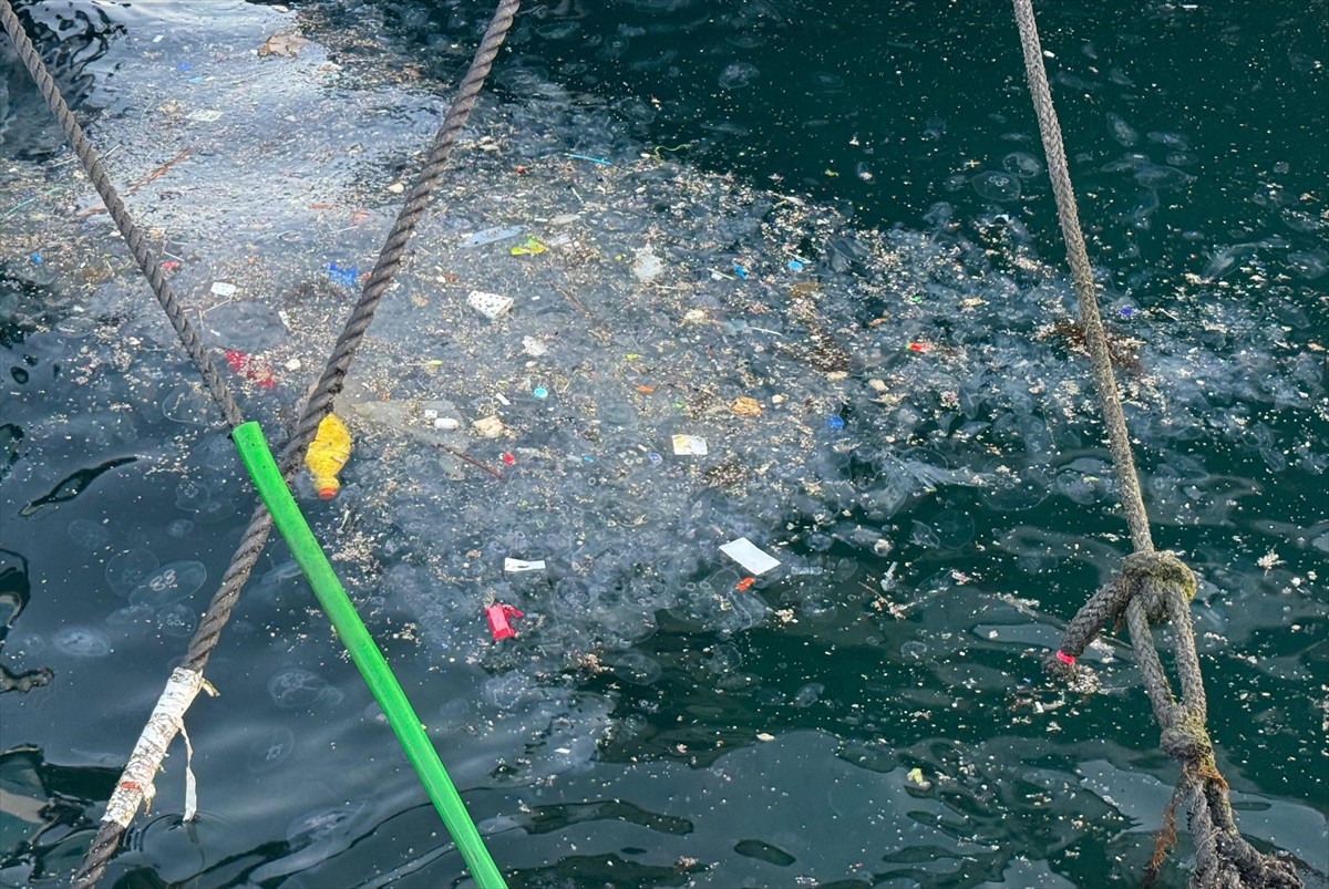 Beşiktaş'ta sahilde denize atılan çöplerin kıyı şeridinde kümelendiği ve yer yer deniz yüzeyini...