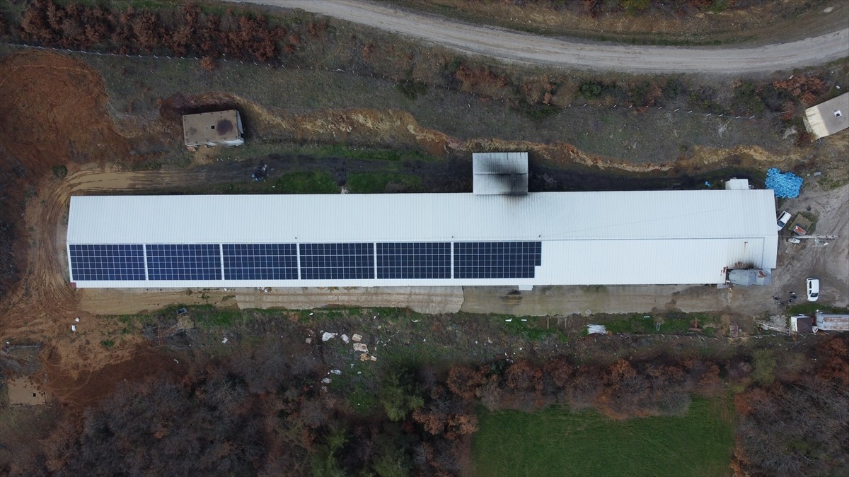 Bilecik'in Osmaneli ilçesinde beyaz et sektöründe faaliyet gösteren firma, işletmenin enerji...