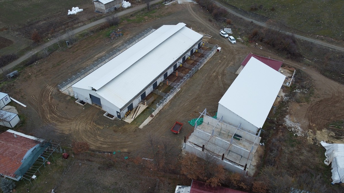 Bilecik'in Pazaryeri ilçesinde, Tarım ve Orman Bakanlığının "Kırsal Kalkınmada Uzman Eller...