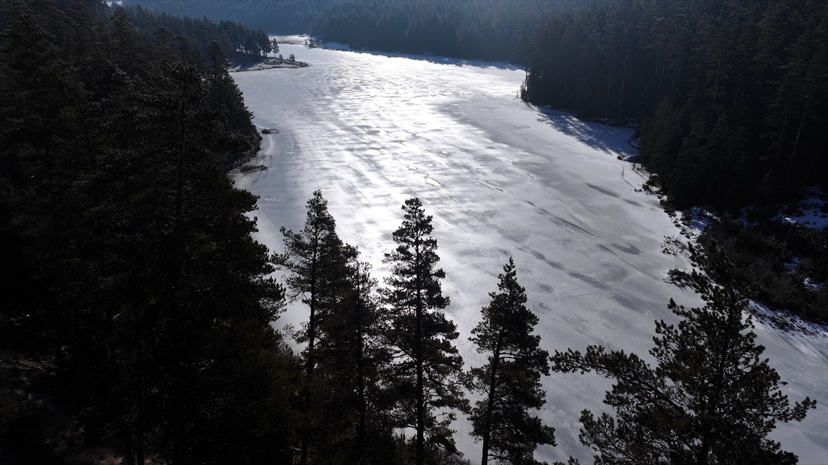 Bolu'nun Aladağ Yaylası'nda bulunan göletin yüzeyi, hava sıcaklığının eksilere düşmesiyle buzla...