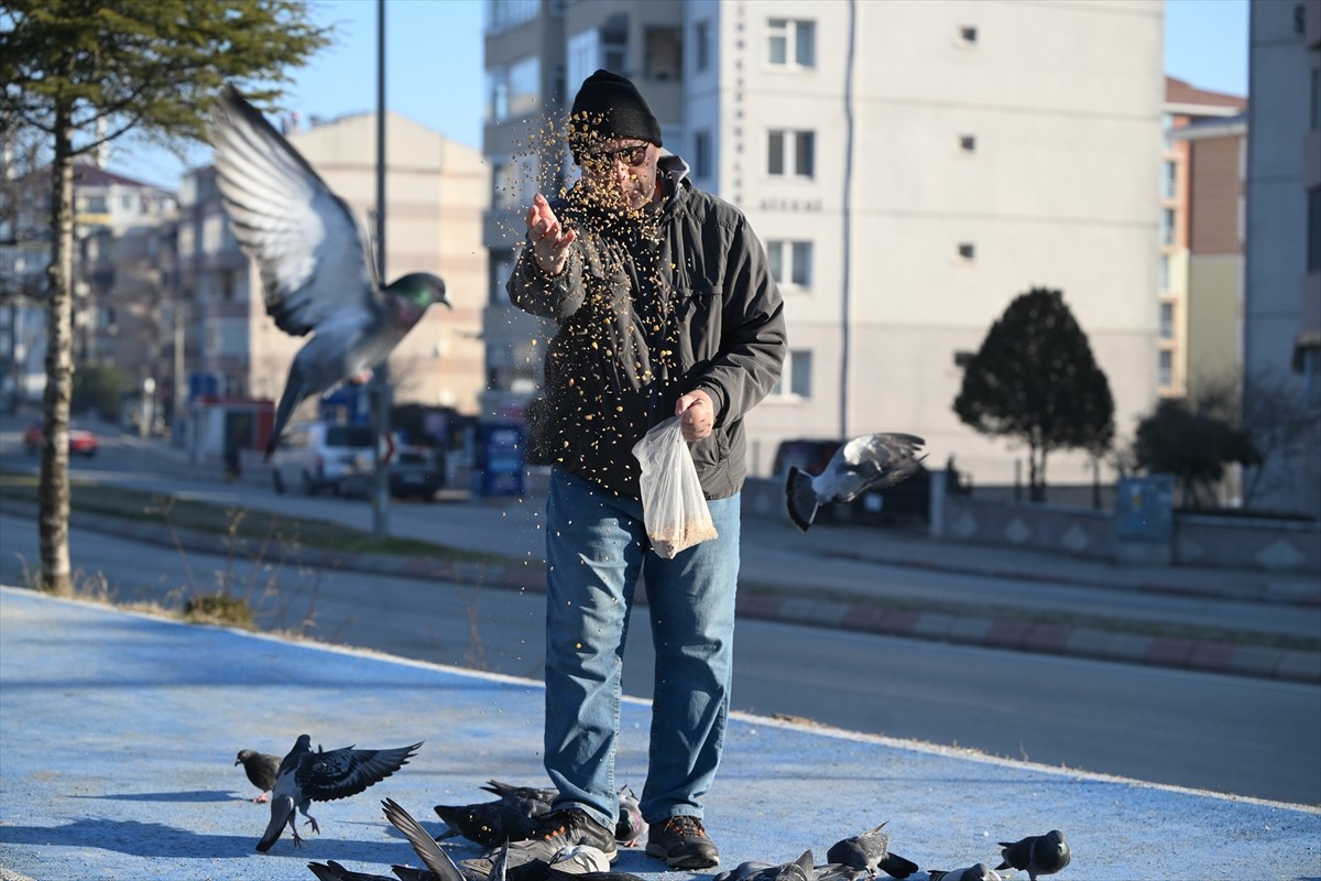 Edirne'de soğuk hava etkili oldu. Hava sıcaklığının gece sıfırın altında 5 derece düştüğü...