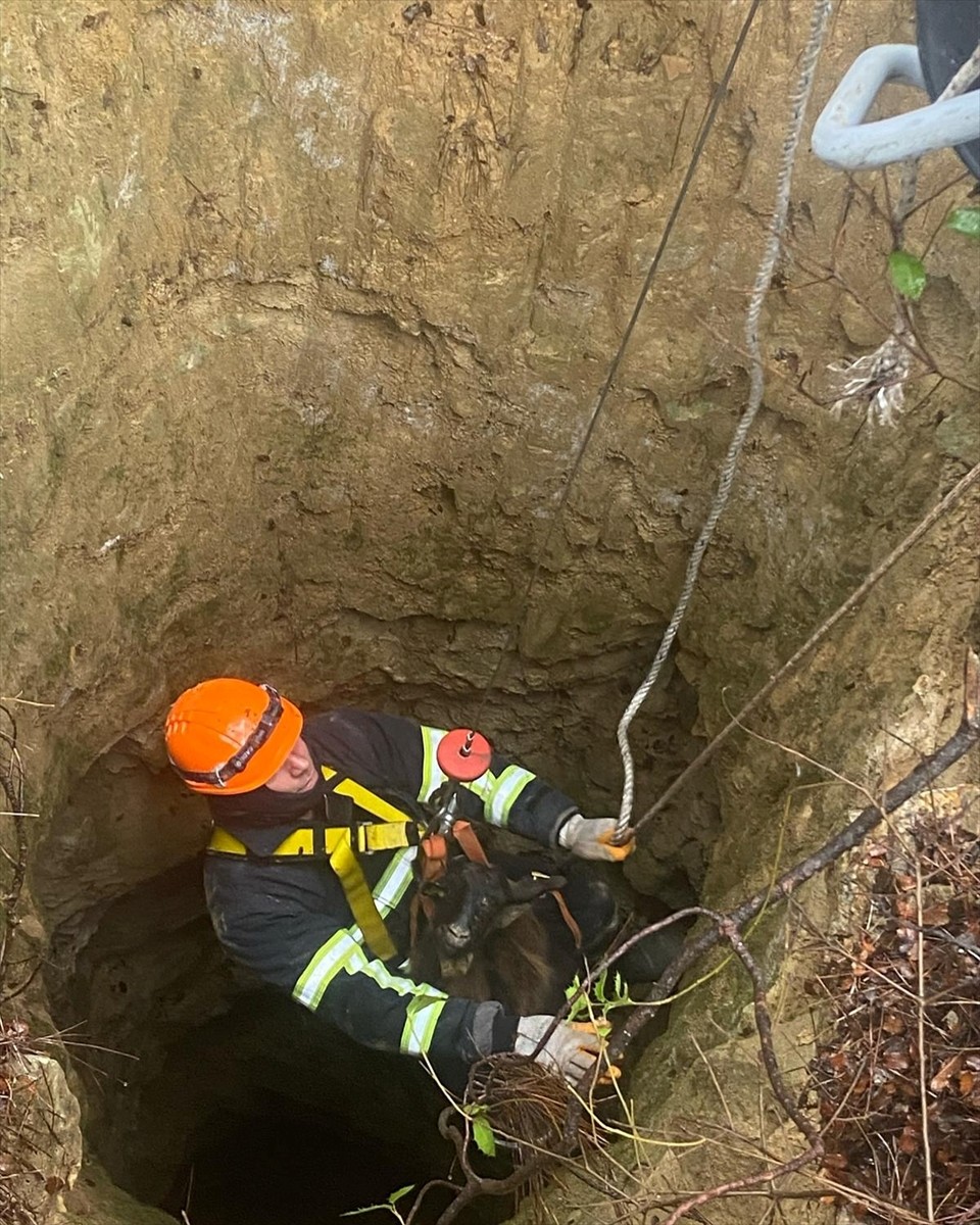 Edirne'nin Keşan ilçesinde ormanlık alandaki çukura düşen 4 keçi, AFAD ve itfaiye ekiplerince...
