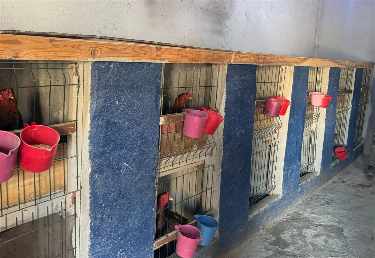 Erzurum'un Uzundere ilçesinde horoz dövüştürdükleri tespit edilen 3 kişiye 31 bin 155 lira ceza...