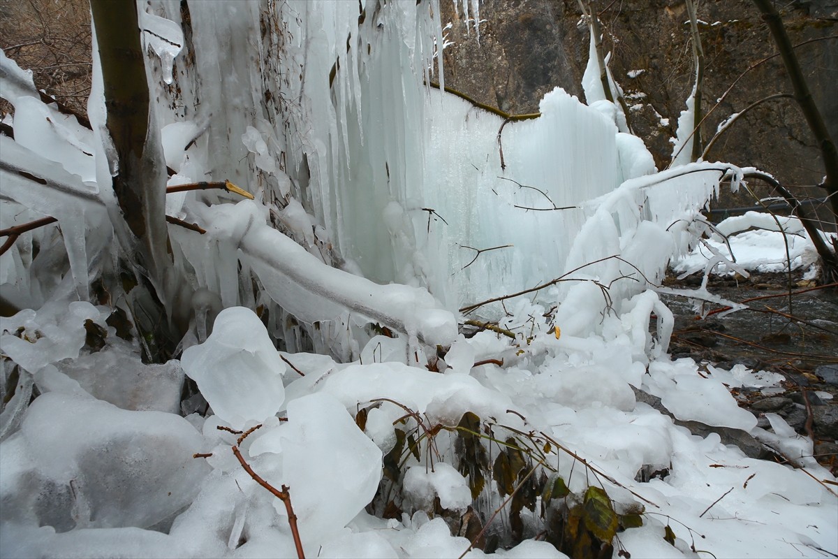 Hakkari'de borunun çatlaması sonucu fışkıran suyun donmasıyla ağaç dallarında uzun buz sarkıtları...