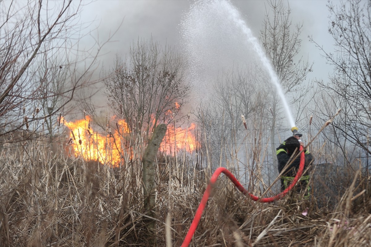 Kırklareli'nde otluk alanda başlayıp ağaçların bulunduğu bölgeye sıçrayan yangın, itfaiye...