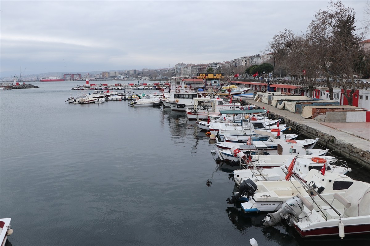 Marmara Denizi'nde 6 gündür etkili olan poyraz, Tekirdağ'da deniz ulaşımında aksamalara neden...