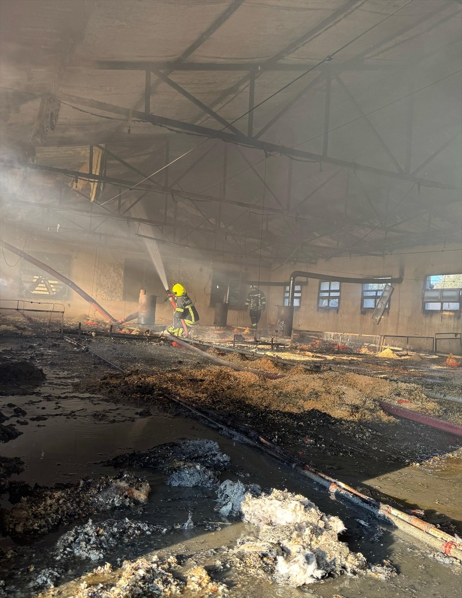 Mersin'in Tarsus ilçesinde tavuk çiftliğinde çıkan yangında 6 bin 800 civciv telef oldu.