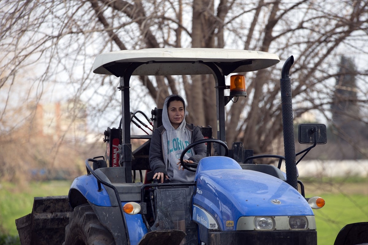 Metropollerdeki iş yaşamında aradığını bulamayan 34 yaşındaki Aydan İşci, Aydın'ın İncirliova...
