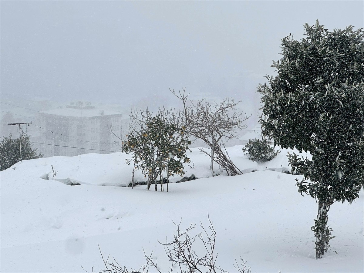 Rize'de etkili olan kar yağışının ardından çevre beyaza büründü.