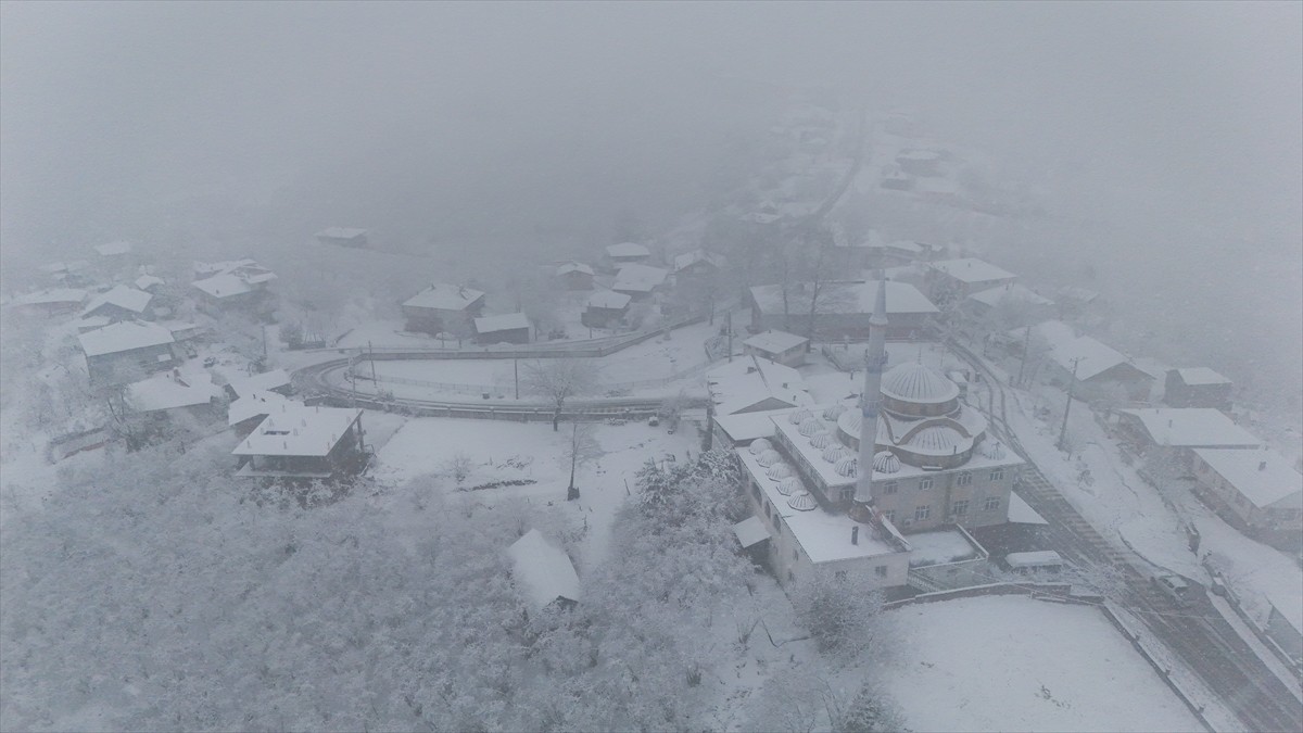 Sakarya'nın Kocaali ilçesinin yüksek kesimlerinde kar yağışı başladı. 