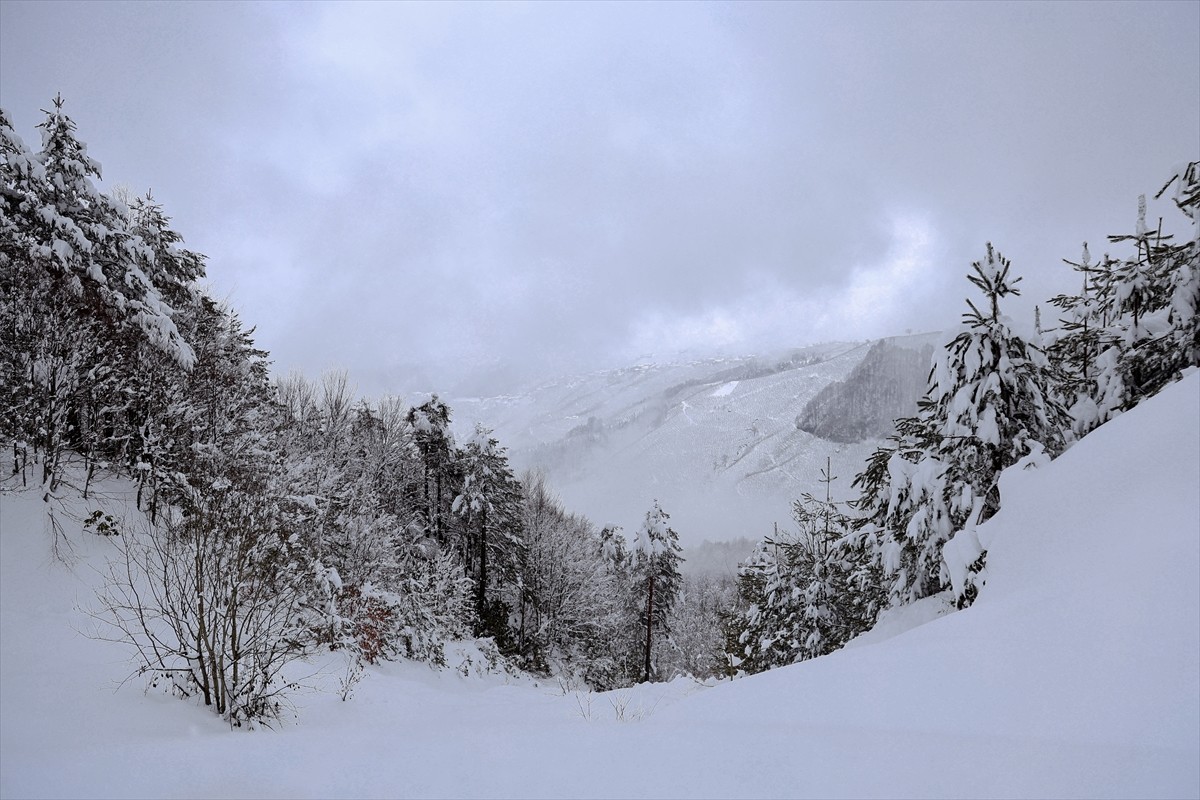  Sakarya'nın Kocaali ve Hendek ilçeleri arasında bulunan 900 rakımlı Çam Dağı'nda karla kaplanan...
