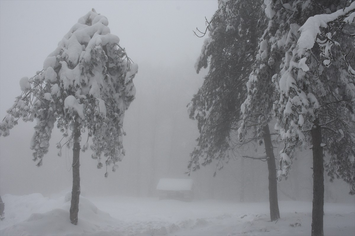 Samsun'un 19 Mayıs ilçesindeki Nebiyan Dağı, kar yağışının ardından beyaza büründü.