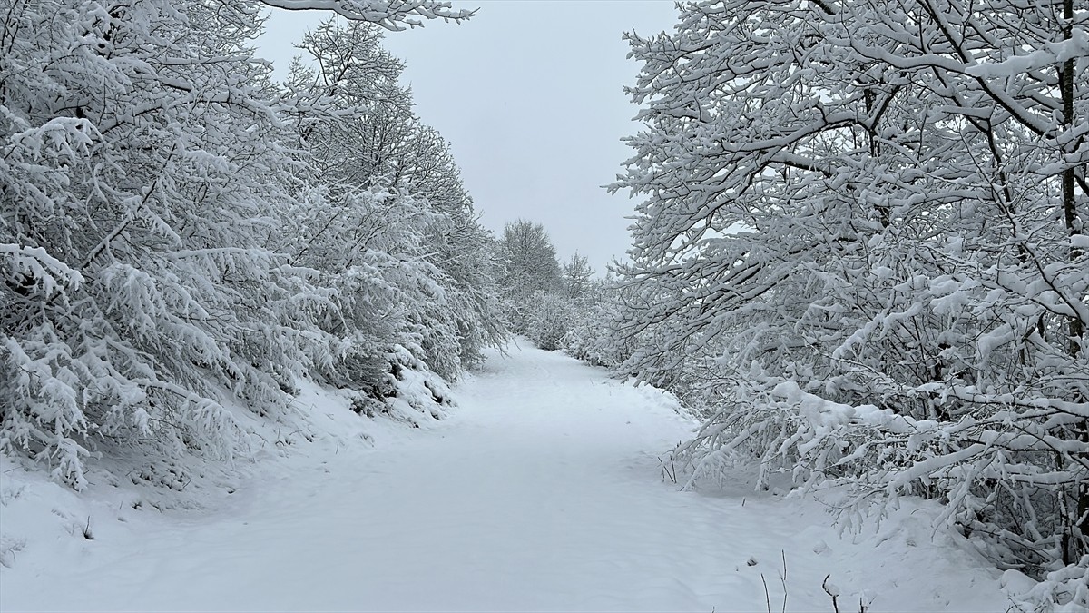 Samsun'un İlkadım ilçesinde yüksek kesimler, kar yağışı sonucu beyaz örtüyle kaplandı. İl...