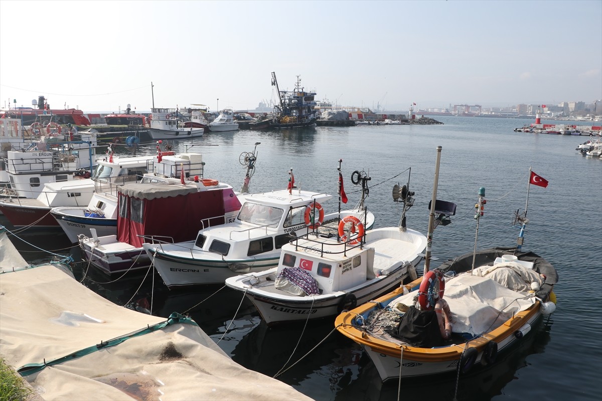 Tekirdağ'da bir haftadır etkili olan poyraz nedeniyle avlanamayan balıkçılar, rüzgarın...