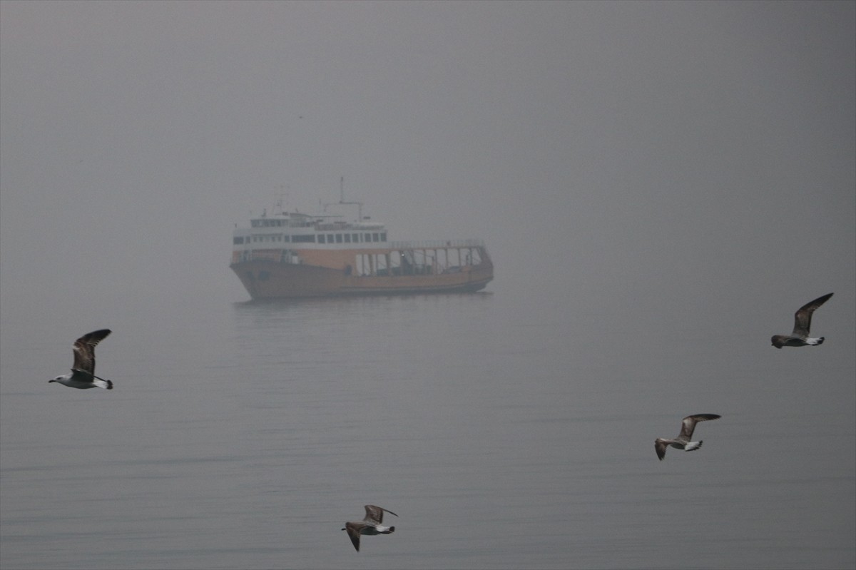 Tekirdağ'da yoğun sis nedeniyle görüş mesafesi yer yer 50 metreye kadar düştü. Denizdeki görüş...