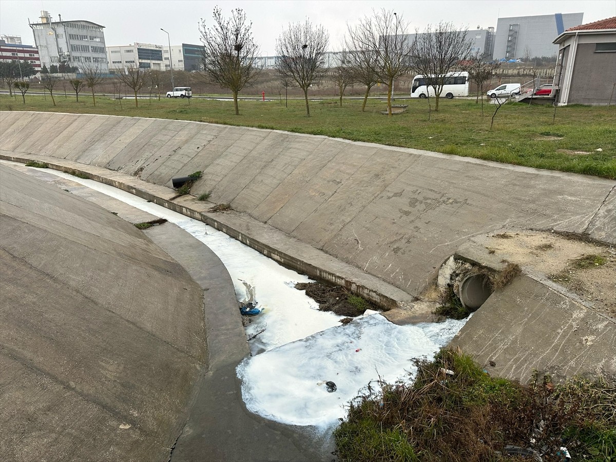 Tekirdağ'ın Çerkezköy ilçesindeki Kavak Deresi'nin rengi beyaza büründü.
