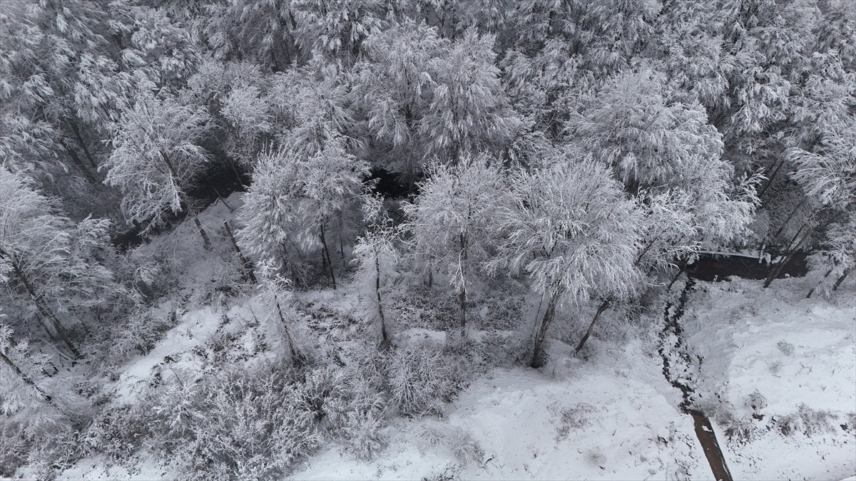 Trakya'da, Karadeniz kıyılarına paralel uzanan Yıldız Dağları'nda kar yağışının ardından oluşan...