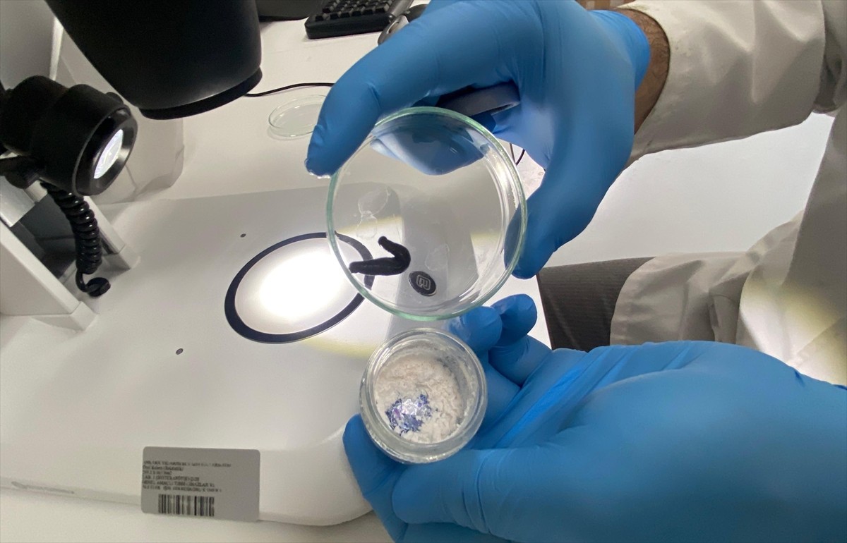  Türk bilim insanları tıbbi sülük salgısındaki doğal bileşenlerin biyoteknolojik ilaç adayı olarak...