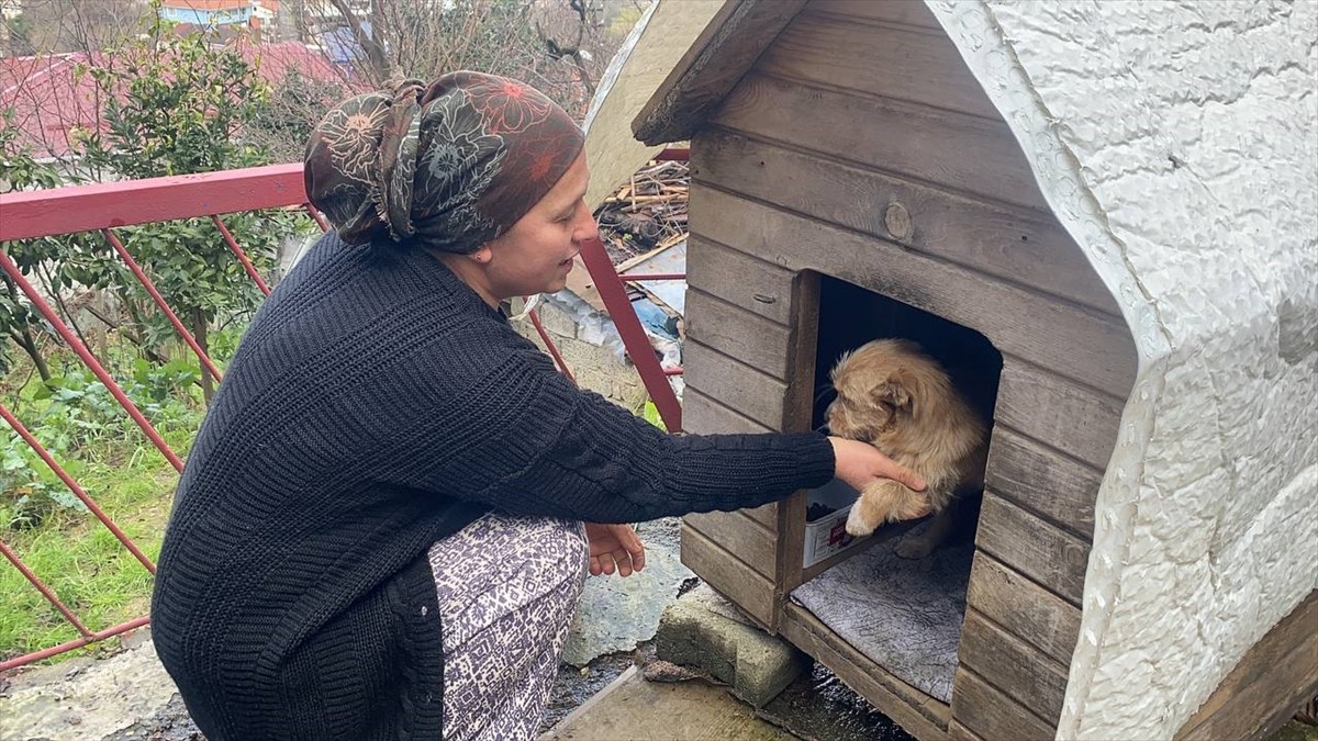 Zonguldak'ta çöp konteynerinin yanına bırakılan köpek yavrusu, bir hayvansever tarafından...