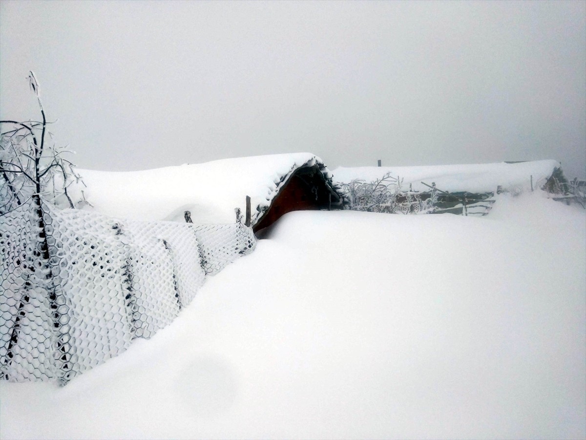 Amasya'nın Akdağ Yaylası'nda sabah saatlerinde başlayan kar, kısa sürede bölgeyi beyaza...