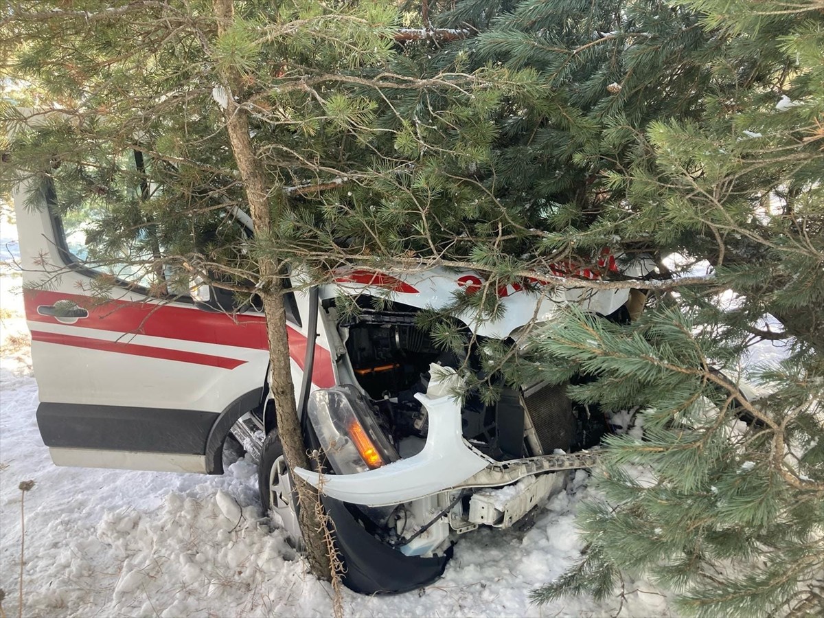 Ardahan'ın Hanak ilçesinde ambulansın yoldan çıkıp ağaçlara çarpması sonucu 3 sağlık personeli...