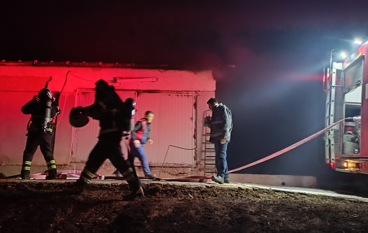 Bilecik'in Pazaryeri ilçesinde tavuk çiftliğinde çıkan yangın ekiplerin müdahalesiyle...