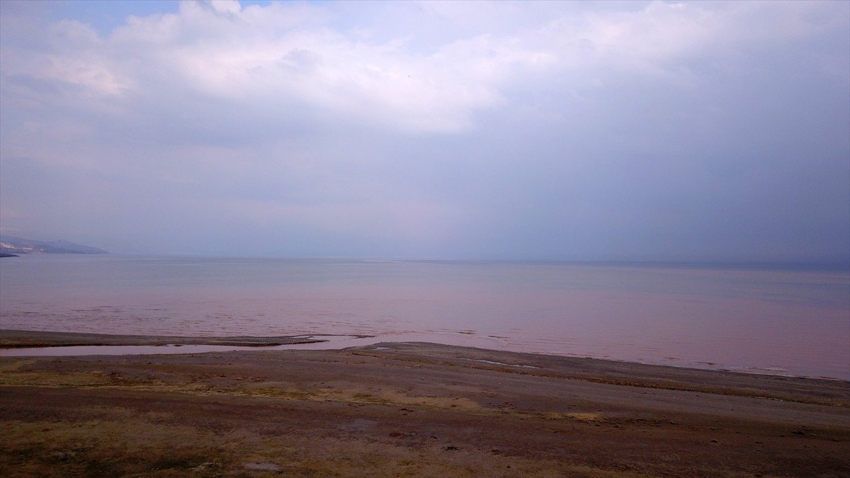 Bitlis'in Ahlat ilçesinde, karların erimesi ve yağışların etkisiyle debisi artan dereden akan su...