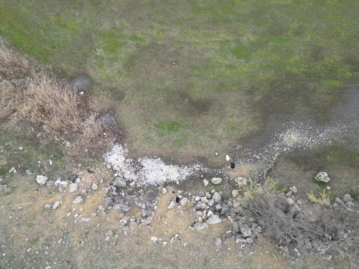 Bursa'nın İnegöl ilçesinde bulunan Boğazköy Baraj Göleti'ndeki balık ölümleri nedeniyle inceleme...