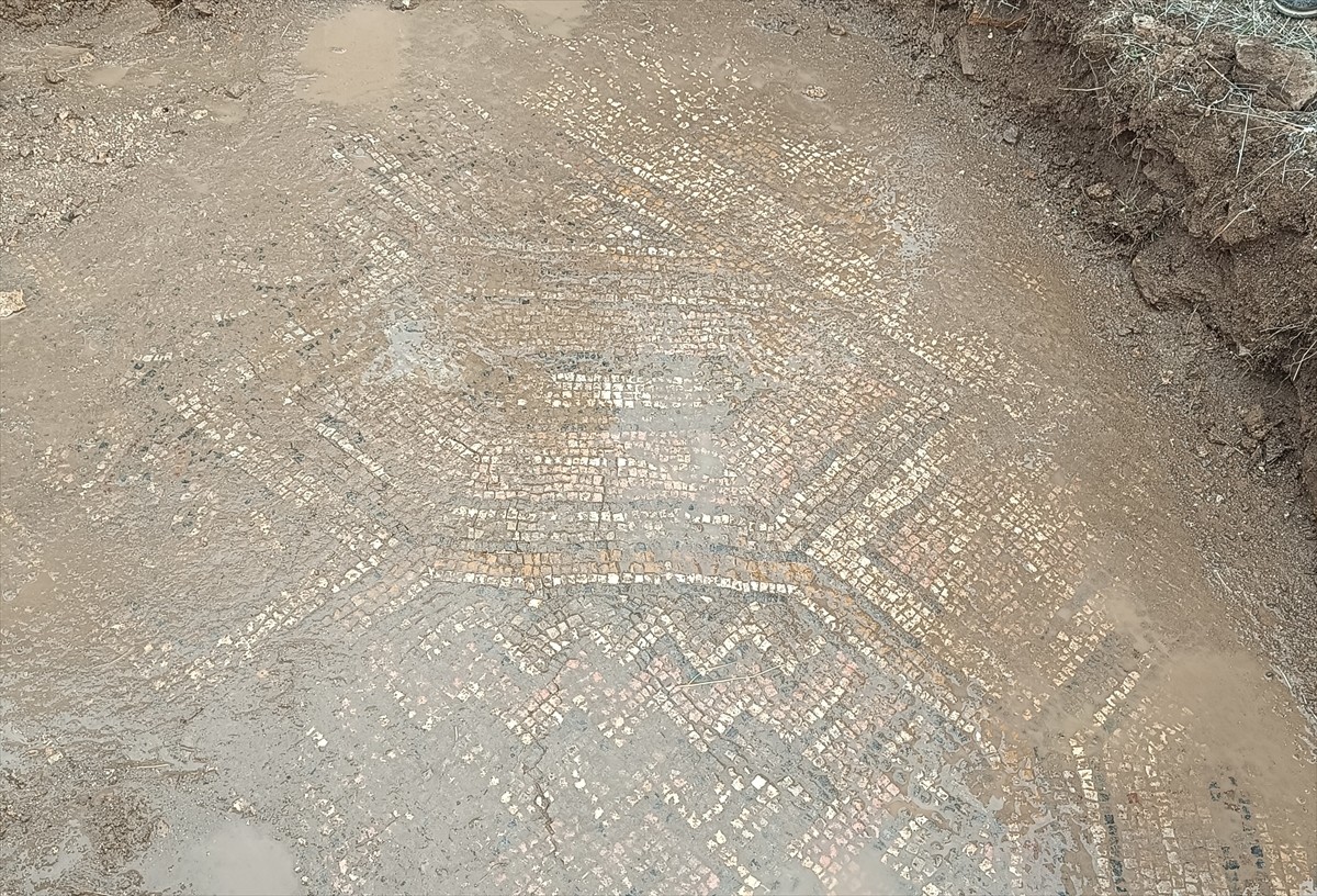 Diyarbakır'ın Ergani ilçesinde iş makinesiyle mezar alanı için kazı yapıldığı sırada bulunan...