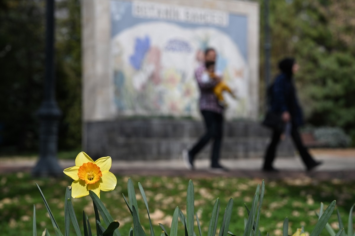 Gaziantep Botanik Bahçesi, ilkbaharın gelişiyle açan çiçeklerle kırmızı, sarı, beyaz ve turuncu...